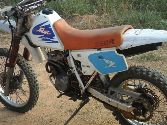 ขออนุญาติขาย XLR 250 อินวอยส์แท้ 29,500 ขออนุญาติขาย XLR 250 อินวอยส์แท้ 29,500