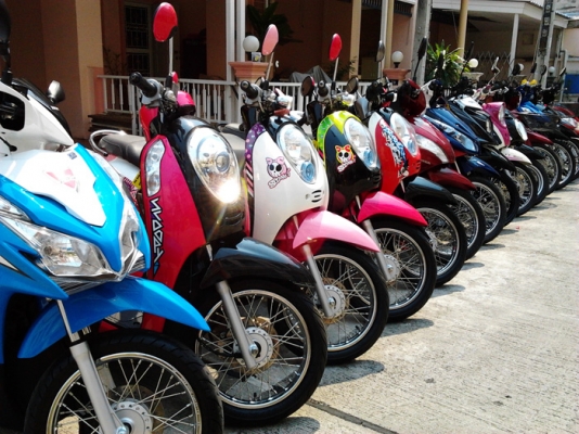 ขายมอเตอร์ไซค์มือสองหลายคัน Scoopy i, Skydrive, TTX, Shogun, Fiore, Click 110 I