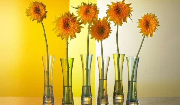 ขอขอบคุณ พี่เสือ และทีมงาน truck  2  hand    มากๆ ครับ ที่ให้โอกาสดีๆครับ