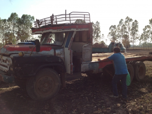 ISUZU TX เครื่อง 168 HP EH700 รถหัวยาวหางปลาสิบล้อเพลาเดียว เครื่องแห้งแรงดีไม่มีเยิ้ม หัวเก๋งไม่มีผุ พวงมาลัยเพาเวอร์ ช่วงล่างคัชซีสวยไม่บวม เอกสารเล่มทะเบียนครบพร้อมโอน ราคาต่อรองได้ครับ