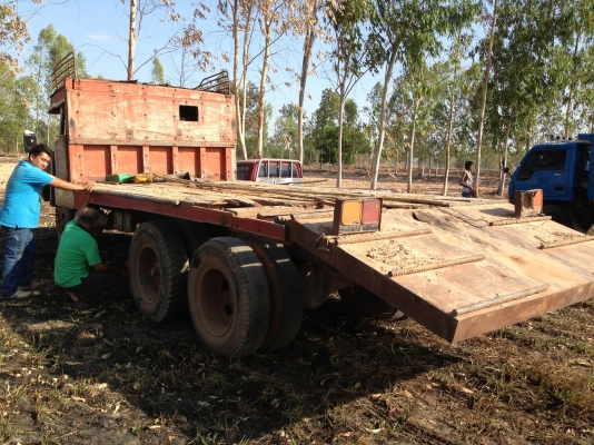 ISUZU TX เครื่อง 168 HP EH700 รถหัวยาวหางปลาสิบล้อเพลาเดียว เครื่องแห้งแรงดีไม่มีเยิ้ม หัวเก๋งไม่มีผุ พวงมาลัยเพาเวอร์ ช่วงล่างคัชซีสวยไม่บวม เอกสารเล่มทะเบียนครบพร้อมโอน ราคาต่อรองได้ครับ