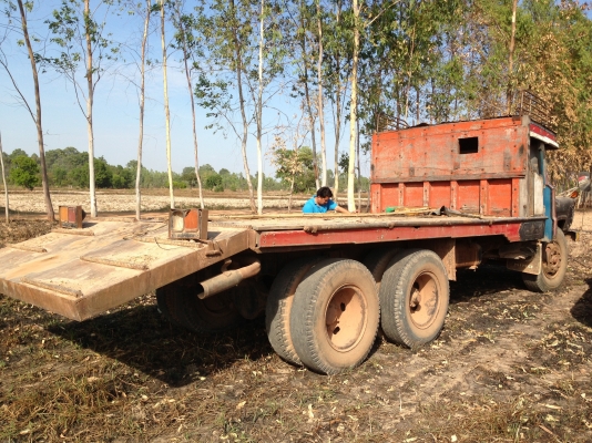 ISUZU TX เครื่อง 168 HP EH700 รถหัวยาวหางปลาสิบล้อเพลาเดียว เครื่องแห้งแรงดีไม่มีเยิ้ม หัวเก๋งไม่มีผุ พวงมาลัยเพาเวอร์ ช่วงล่างคัชซีสวยไม่บวม เอกสารเล่มทะเบียนครบพร้อมโอน ราคาต่อรองได้ครับ