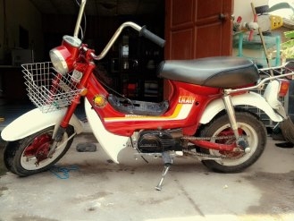 ขาย ชาลี ด่วน!!!