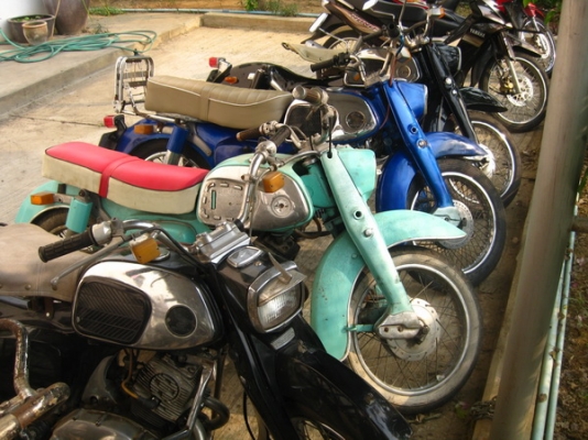 **** ขายหมู c95 ทะเบียนโอน ********