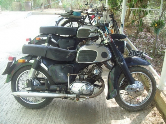 **** ขายหมู c95 ทะเบียนโอน ********