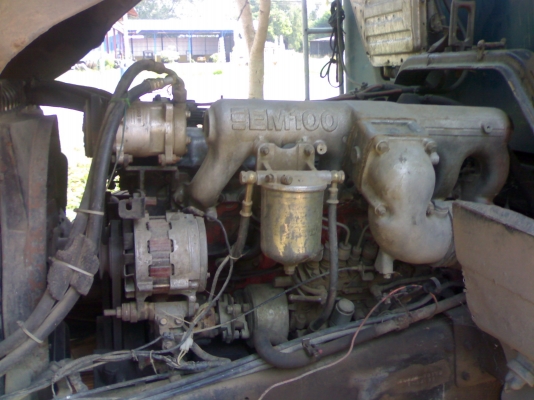 ขาย ซูโม่แม่+ลูกดั๊มแม่ดั๊มลุก กะบะเกษตรสวยๆคับ ขาย ซูโม่แม่+ลูกดั๊มแม่ดั๊มลุก กะบะเกษตรสวยๆคับ