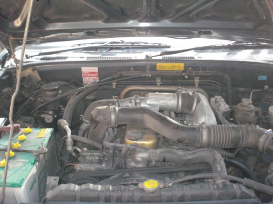 ขาย ISUZU DRAGON EYE แค็ปปี97สวยๆๆ