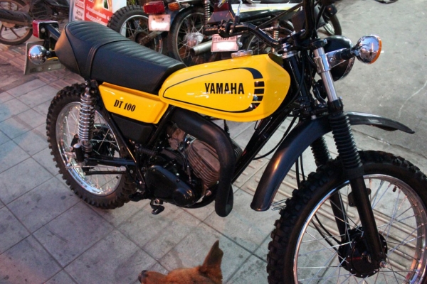 YAMAHA DT100