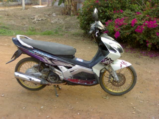 นูโวปี48ภาษีเต็ม