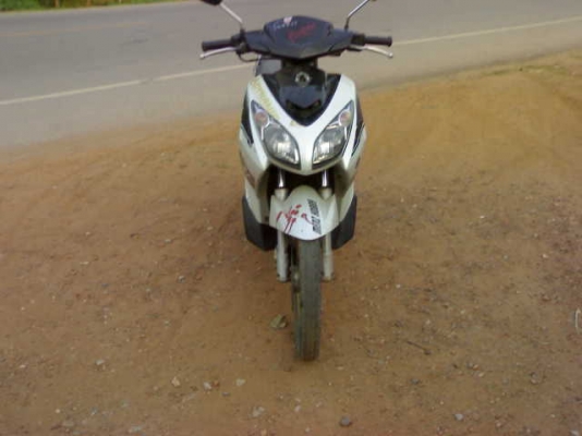 นูโวปี48ภาษีเต็ม