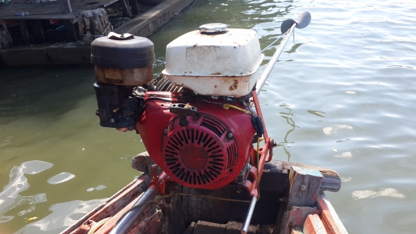 ขายแล้ว