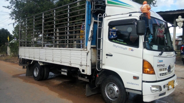 HINO ซีรี่500 175แรงม้า ยาว5เมตร50 ยางเต็มทั้ง6เส้น กะทะแม็กยางเรเดียน