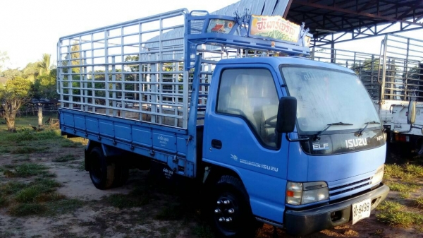 ISUZU NPR 130แรงม้า ยาว4เมตร30 ISUZU NPR 130แรงม้า ยาว4เมตร30