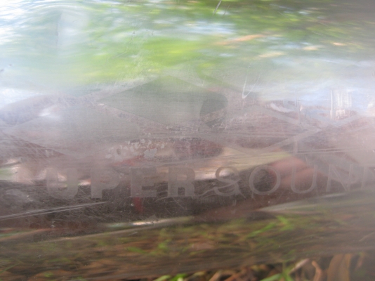 ............ ............