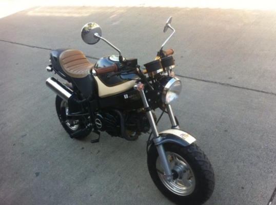 Stallion Solo 125 cc mini ใหม่มาก ไม่ถึงปี วิ่ง 900 โล