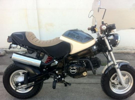 Stallion Solo 125 cc mini ใหม่มาก ไม่ถึงปี วิ่ง 900 โล