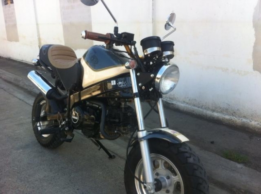 Stallion Solo 125 cc mini ใหม่มาก ไม่ถึงปี วิ่ง 900 โล