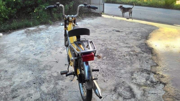 รถปั่น Tomos ฮอลแลนด์