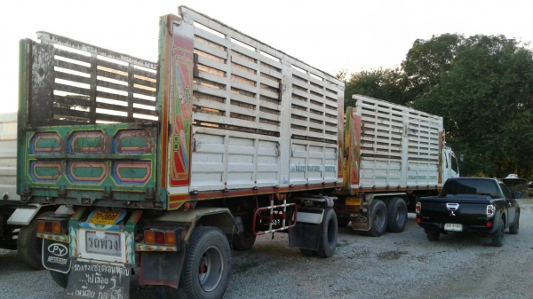 ขายด่วนรถดั้มเกษตรแม่ลูกM6เครือง260แรงปี52รถวิ่งได้179408