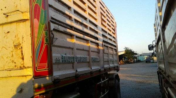 ขายด่วนรถดั้มเกษตรแม่ลูกM6เครือง260แรงปี52รถวิ่งได้179408