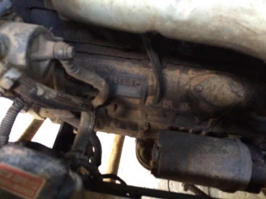 6ล้อดั้ม...110แรงISUZU. NPR57L. Fหน้าFหลัง พ.เพาเวอร์ รถบรรทุกทะลายปาล์ม