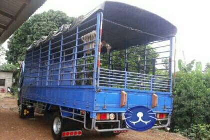 6 ล้อ NQR150ปี47ยาว5.50ม สวยกริบ ทะเบียนพร้อมโอนครับ