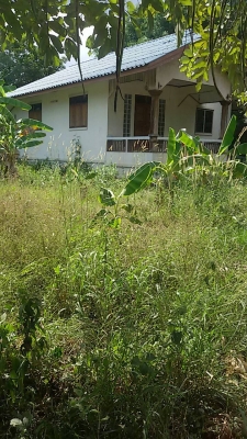 ขายบ้านเดี่ยวพร้อมที่ดินใกล้โรงเรียนอนุบาลกบินทร์บุรี ขายบ้านเดี่ยวพร้อมที่ดินใกล้โรงเรียนอนุบาลกบินทร์บุรี