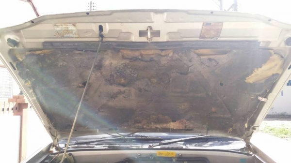 !!!!! รถบ้านแท้ อีซูซุ ดรากอนอายแค๊ป ปี 40 รุ่นท๊อปสุด SLX พ.เพาเวอร์ กระจกไฟฟ้า