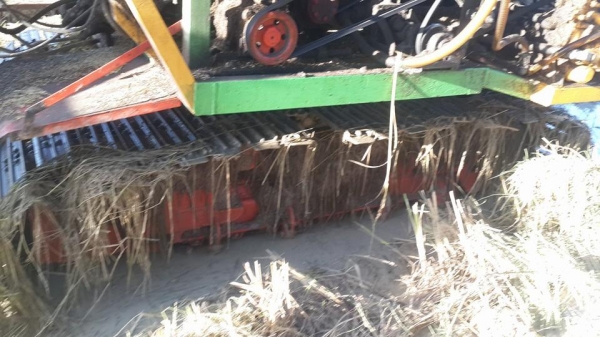 ขายรถเกี่ยวข้าวไทยเส็ง210อีซูซุอุ้ม2.5ตัน ช่วงล่าง12 ปั๊ม22 ปั๊มแยกปั่นข้าว ลูเลอร์ดี สภาพลงเกี่ยวปกติ