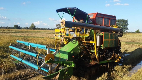 ขายรถเกี่ยวข้าวไทยเส็ง210อีซูซุอุ้ม2.5ตัน ช่วงล่าง12 ปั๊ม22 ปั๊มแยกปั่นข้าว ลูเลอร์ดี สภาพลงเกี่ยวปกติ