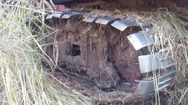 ขายรถเกี่ยวข้าวไทยเจริญ205แรงอีซูซุ ช่วงล่าง10อุ้ม2.2ตัน สภาพพร้อมลงงาน เกี่ยวข้าวได้เลย ปั๊ม22 ขายรถเกี่ยวข้าวไทยเจริญ205แรงอีซูซุ ช่วงล่าง10อุ้ม2.2ตัน สภาพพร้อมลงงาน เกี่ยวข้าวได้เลย ปั๊ม22