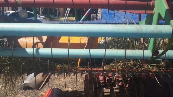 ขายรถเกี่ยวข้าวศักดิ์พัฒนา195เทอร์โบว์ ฝาส้ม ช่วงล่าง10โซ่ดี ปั๊ม23 อุ้มแสตนเลส อุ้มข้าว2.5ตัน สภาพพร้อมเกี่ยว ขายรถเกี่ยวข้าวศักดิ์พัฒนา195เทอร์โบว์ ฝาส้ม ช่วงล่าง10โซ่ดี ปั๊ม23 อุ้มแสตนเลส อุ้มข้าว2.5ตัน สภาพพร้อมเกี่ยว