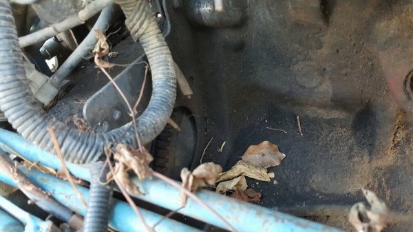 ขายตามสภาพ รถไถ 2 เพลา FORD New Holland 6640 เอกสารเล่มทะเบียนครบ ขาดล้อหลัง 1 ข้าง ไม่มีไดสตาร์ท ชุดเฟืองคานหน้าถอดแล้ว ราคาต่อรองได้ครับ ขายตามสภาพ รถไถ 2 เพลา FORD New Holland 6640 เอกสารเล่มทะเบียนครบ ขาดล้อหลัง 1 ข้าง ไม่มีไดสตาร์ท ชุดเฟืองคานหน้าถอดแล้ว ราคาต่อรองได้ครับ