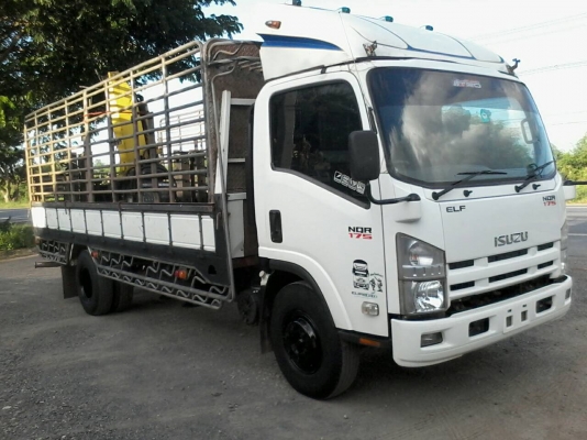 ขาย6ล้อISUZU NQR175แรงม้า ปี55 ยูโร3กระบะพร้อมคอกยาว5.50เมตร ขาย6ล้อISUZU NQR175แรงม้า ปี55 ยูโร3กระบะพร้อมคอกยาว5.50เมตร