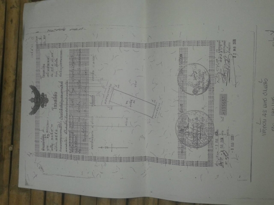 ขายที่ดินพุทมลทลสาย1