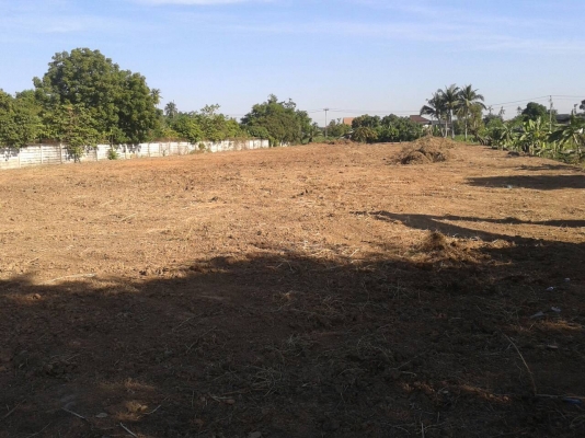 ขายที่ดินพุทมลทลสาย1