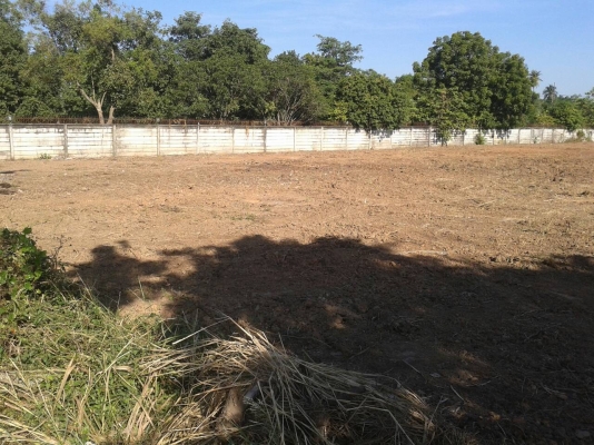 ขายที่ดินพุทมลทลสาย1