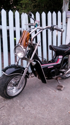 ชาลีท่อคู่