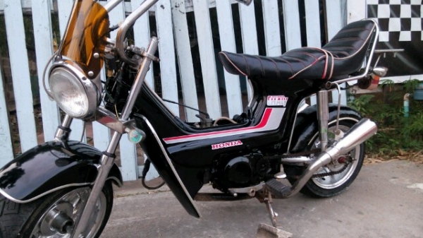 ชาลีท่อคู่