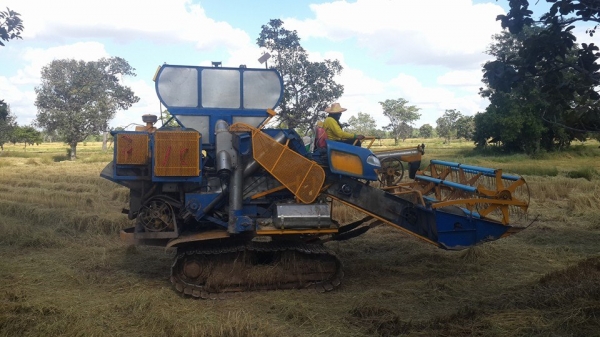 ขายรถเกี่ยวข้าว เกษตรพัฒนาไอ้หนุ่มไวไฟ ช่วงล่าง12นอก ปั๊ม23 เครื่องอีซูซุ230โบว์ พร้อมลงลุยเกี่ยว ตู้ใหม่ โซ่เต็ม