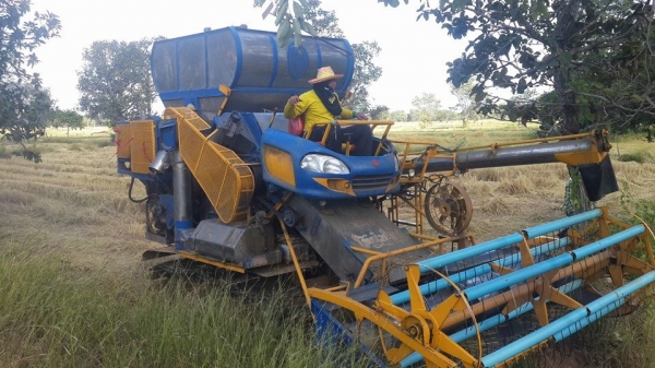 ขายรถเกี่ยวข้าว เกษตรพัฒนาไอ้หนุ่มไวไฟ ช่วงล่าง12นอก ปั๊ม23 เครื่องอีซูซุ230โบว์ พร้อมลงลุยเกี่ยว ตู้ใหม่ โซ่เต็ม