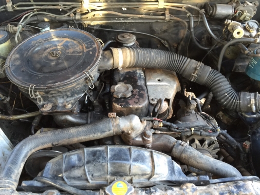 ขายรถ NISSAN Big-M แวน ขายรถ NISSAN Big-M แวน