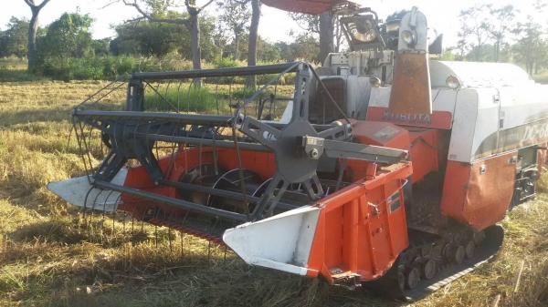 ขายรถเกี่ยวข้าว DC 68 g รุ่นนิ้วสปริง ปี 54 รถพร้อมใช้งาน ยกพร้อมเทลเลอร์ลากเลย ขายรถเกี่ยวข้าว DC 68 g รุ่นนิ้วสปริง ปี 54 รถพร้อมใช้งาน ยกพร้อมเทลเลอร์ลากเลย