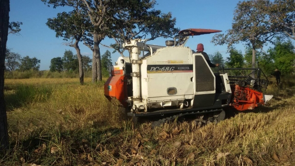 ขายรถเกี่ยวข้าว DC 68 g รุ่นนิ้วสปริง  ปี 54  รถพร้อมใช้งาน  ยกพร้อมเทลเลอร์ลากเลย