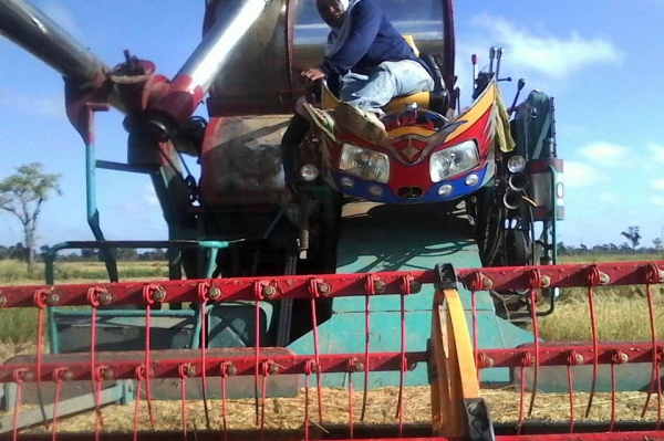 ขายรถเกี่ยวข้าว บางไทร รุ่นสิงคะนองนา เครื่องอีซูซุ230โบว์ อุ้มปรับระดับขวา โซ่D2 ตัวเดิน12นอก มอเตอร์ตัวเดิน23 ปั้มพ์ไดกิ้นส์เบอร์23 ตัวเดินสป๊อ-กเก็ต27นิ้ว ล้อนำ18นิ้ว โซ่47ข้อ  สภาพพร้อมลุยเกี่ยว