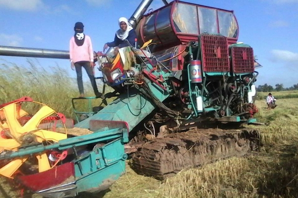 ขายรถเกี่ยวข้าว บางไทร รุ่นสิงคะนองนา เครื่องอีซูซุ230โบว์ อุ้มปรับระดับขวา โซ่D2 ตัวเดิน12นอก มอเตอร์ตัวเดิน23 ปั้มพ์ไดกิ้นส์เบอร์23 ตัวเดินสป๊อ-กเก็ต27นิ้ว ล้อนำ18นิ้ว โซ่47ข้อ  สภาพพร้อมลุยเกี่ยว