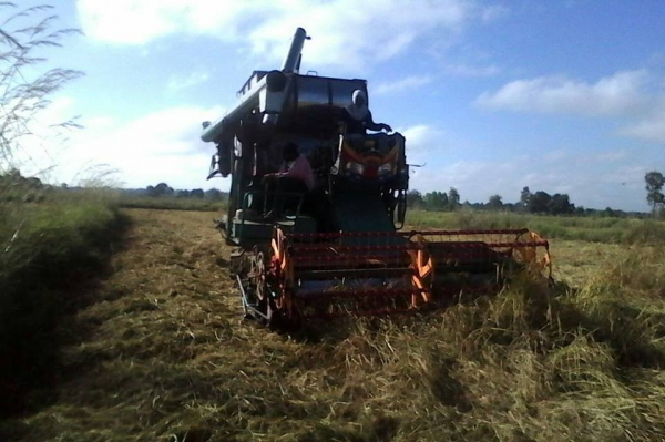 ขายรถเกี่ยวข้าว บางไทร รุ่นสิงคะนองนา เครื่องอีซูซุ230โบว์ อุ้มปรับระดับขวา โซ่D2 ตัวเดิน12นอก มอเตอร์ตัวเดิน23 ปั้มพ์ไดกิ้นส์เบอร์23 ตัวเดินสป๊อ-กเก็ต27นิ้ว ล้อนำ18นิ้ว โซ่47ข้อ  สภาพพร้อมลุยเกี่ยว