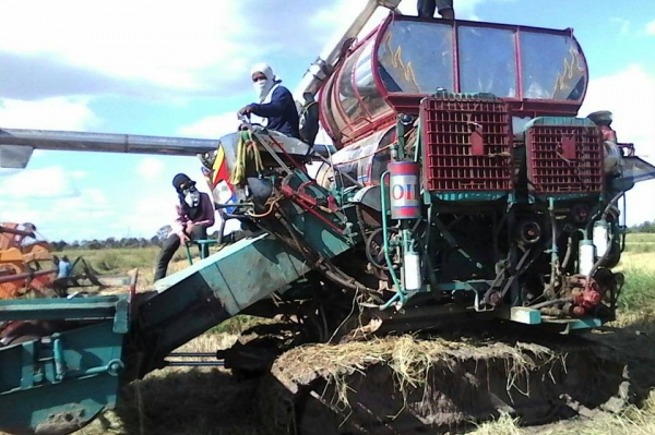 ขายรถเกี่ยวข้าว บางไทร รุ่นสิงคะนองนา เครื่องอีซูซุ230โบว์ อุ้มปรับระดับขวา โซ่D2 ตัวเดิน12นอก มอเตอร์ตัวเดิน23 ปั้มพ์ไดกิ้นส์เบอร์23 ตัวเดินสป๊อ-กเก็ต27นิ้ว ล้อนำ18นิ้ว โซ่47ข้อ  สภาพพร้อมลุยเกี่ยว