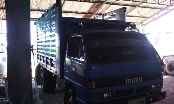 ขาย389000 115 รถห้าง ดั้มเกษตร Fหน้า-หลังเกียร์ROCK ขาย389000 115 รถห้าง ดั้มเกษตร Fหน้า-หลังเกียร์ROCK