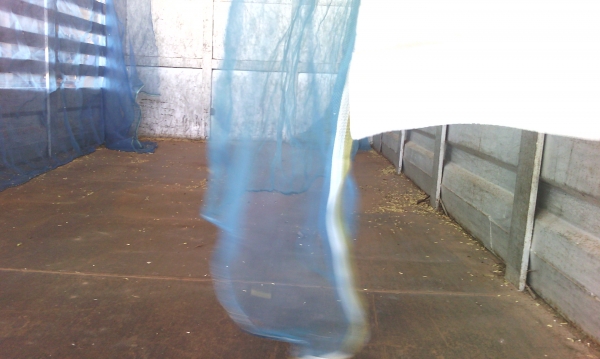 ขาย389000 115 รถห้าง ดั้มเกษตร Fหน้า-หลังเกียร์ROCK ขาย389000 115 รถห้าง ดั้มเกษตร Fหน้า-หลังเกียร์ROCK